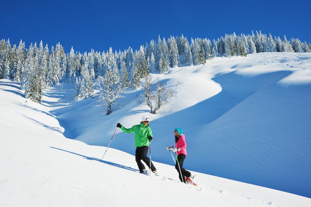 Hotel Alpenrose Muehlbach Am Hochkoenig Exteriör bild